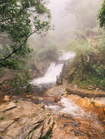 Hidden trail in the rainforest of Vietnam with a waterfall on a foggy day