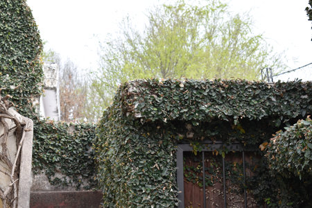 the concrete stairs in the yard