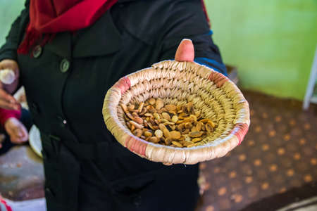 Unrecognizable woman showing argan seeds to make oilの写真素材