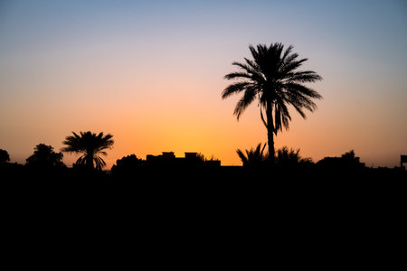 Goldskies in Merzouga, Morocco, after the sunset