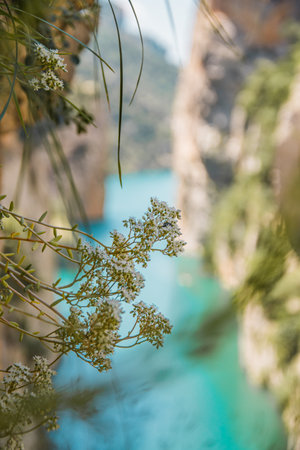 Beautiful Mont-rebei Canyon in Catalonia on a sunny summer morningの写真素材