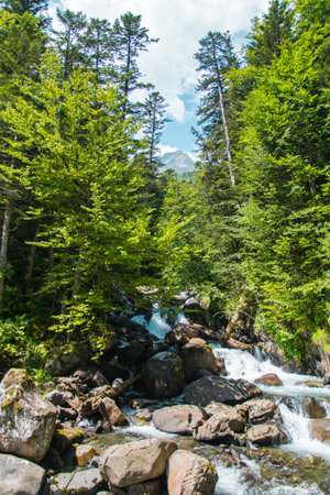 Turquoise river flowing in green summer Pyreneesの写真素材