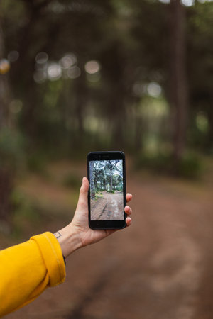 Girl's hand with a smartphone taking a photo of the forest.