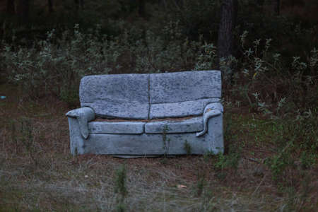 Sofa abandoned in the forest.の写真素材