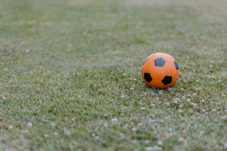 Soccer ball on the grass. orange-ballの写真素材