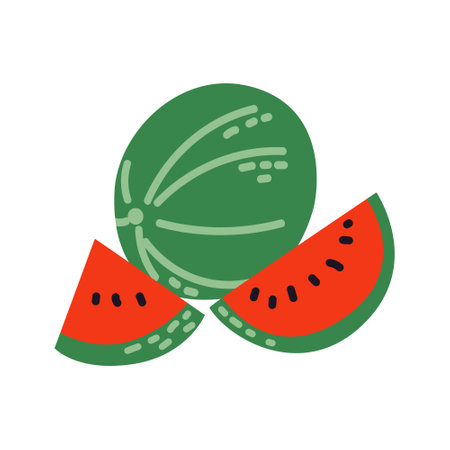 Watermelon slices. Summer tropical fruit. Vector illustration on isolated background.のイラスト素材