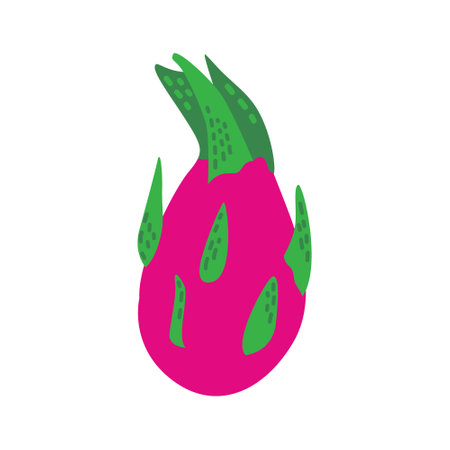 exotic dragon fruit. Tropical pitaya. Vector illustration on isolated background.のイラスト素材