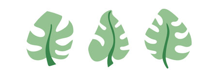 Set of abstract tropical leaves on isolated background. Exotic jungle plants. monstera leaf. Flat modern trendy style.のイラスト素材