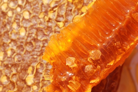 honeycomb with wax and honey with specksの写真素材