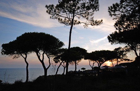 idyllic seascape with silhouettes of pines and lilac sunsetの写真素材