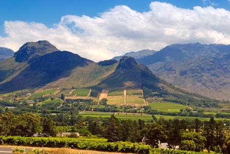 Rural landscape with mountains, fields and vineyard, Capetown province (South Africa) Rural landscape with mountains, fields and vineyard, Capetown province (South Africa)
