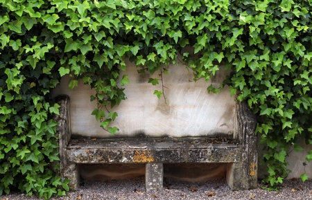 Stone bench and ivy on the old wall of a rural medieval house, Provence, Franceの写真素材