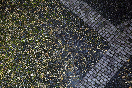 Cobblestone pavement background with natural pebbles and moss