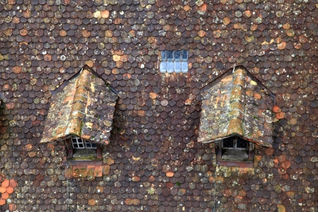 Old brown tile roof with dormerの写真素材