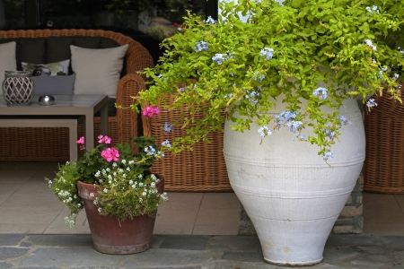 Blossom flowers in flower pots at summer resort patio Greece の写真素材