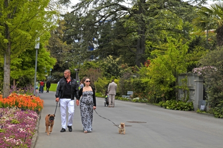 MONTREUX, SWITZERLAND - MAY 09: Couple in love walking yorkshire and boxer dogs on park sidewalk at May 09, 2013 in Montreux, Switzerlandのeditorial素材