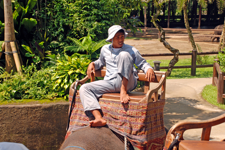 UBUD, BALI, INDONESIA - JANUARY 2,2011: Mahout and elephant at The Elephant Safari Park in Ubud, Bali, Indonesia. Elephant Safari Park is set in more than 2 hectares of exotic eco tourism landscaped botanical gardens, surrounded by national forest.のeditorial素材