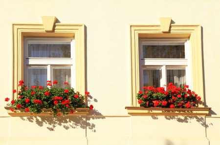 Windows decorated with red flowers in flower boxes, Old town of Prague, Czech Republic