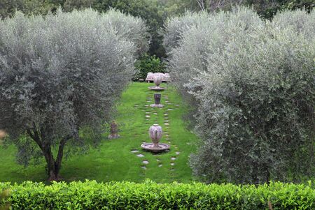 Beautiful landscape with garden, green grass and olive trees in Sovana, Tuscany, Italy.の写真素材