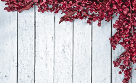 Flower backgroundの写真素材