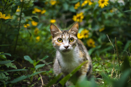 Portrait of a cat on a green background with yellow flowers