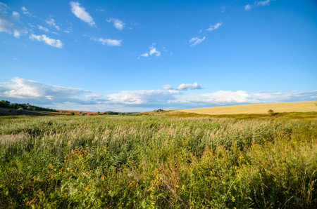 Large clouds on the horizon with a field