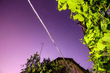 Beautiful night sky in a village with treesの写真素材