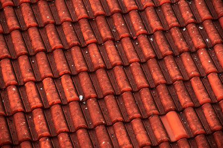 Traveling in another country views and photos of the traveler, islands and the sea