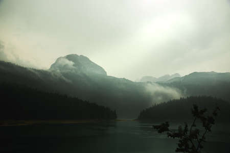 Atmospheric photos in montenegro in durmitor national park after rain in a pine forest on a black lake near zabljak mountain, tourism in europe, fogの写真素材