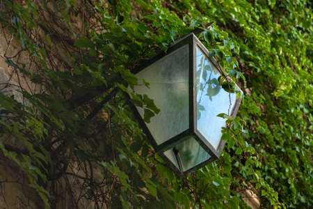 Rest in montenegro, the old town of budva, old houses and hotels, cobblestone and a great history of the city, tourism in Europe and sightsの写真素材