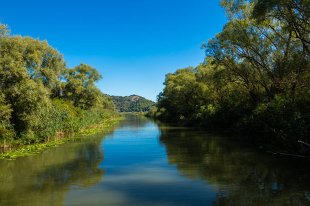 Skadar Lake National Park, lilies and water lilies in the water, bright sunny day and beautiful landscapes with mountains, boat and boat trip, nature and birds of Montenegro, tourism and travelの写真素材