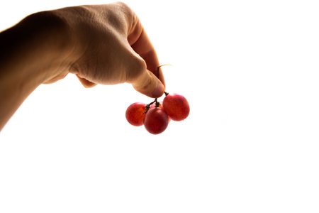 Background from red grapes close-up isolated photography