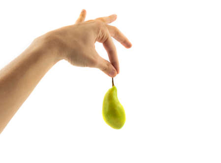 pear with hand isolated on a white backgroundの写真素材