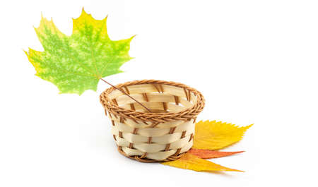 Autumn frame with dry and gold glitter leaves isolated on white backgroundの写真素材