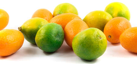 Series of photos of kumquat and limequat, beautiful compositions for menus and sites, dishes, on white isolated backgroundの写真素材