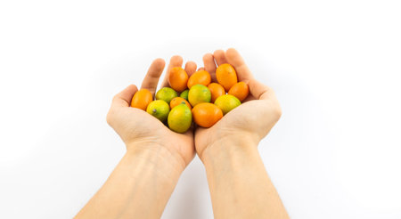 Series of photos of kumquat and limequat, beautiful compositions for menus and sites, dishes, on...