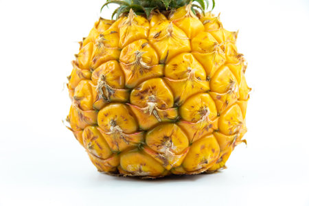 A series of photos with a little baby pineapple on a white isolated background in a hand and not...
