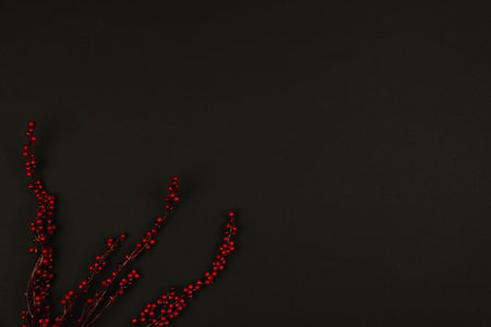 Worker black background, for a workplace, beautiful design and decorations, berries, copy space, design photoの写真素材