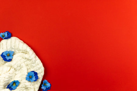 Concept of spring backgrounf, blue flowers and knitted sweater on red background, copy space banner photoの写真素材