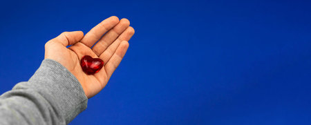 Boy is holding one red heart, concept of giving a love, valentine's day banner background on a blue,...