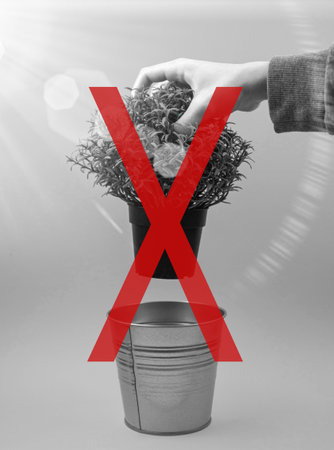 Take care about plants, ecology and environment concept, man is throws out trash, recycle photoの写真素材