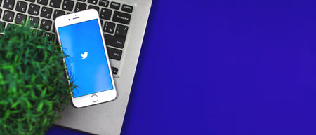 Kharkov, Ukraine - 26 January, 2021: twitter social network application on Apple iPhone, flat lay...