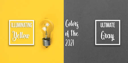 Ultimate Gray and Illuminating Yellow creative flat lay background of colors of the year 2021, minimalicstic vibrant banner with text heading inscription, photoの写真素材