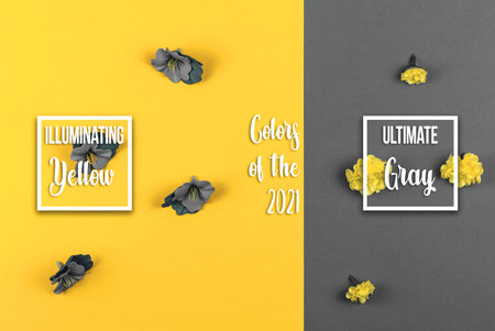 Illuminate yellow and ultimate gray background with flowers, trendy colors of the 2021 year concept...