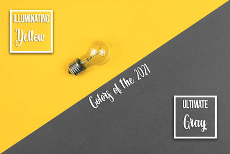 Ultimate Gray and Illuminating Yellow creative flat lay background of colors of the year 2021, minimalicstic vibrant banner with text heading inscription, photoの写真素材
