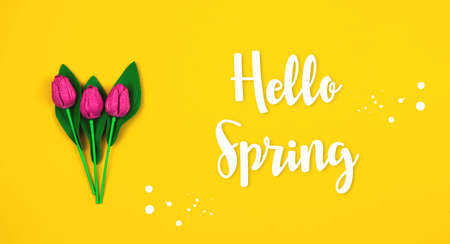 Hello Spring yellow colorful background, flat lay composition with decorative flowers, pink and purple tulips for international holidays, banner and copy space photoの写真素材