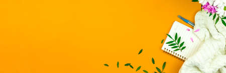 Background for women's day, 8 march, mother's day, flat lay style of spring composition with green leaves and petals on orange desk, copy space photoの写真素材