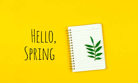 Hello Spring bright and colorful yellow background with text inscription, desktop or workplace with blank notepad and green floral leaves, photoの写真素材
