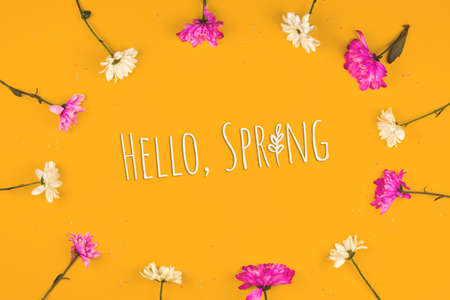 Hello spring text inscription in round frame made of flowers, orange holiday background, copy space or mockup design photoの写真素材
