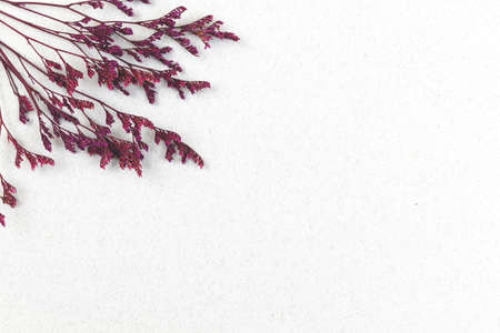 Minimal workspace background with dried flower, copy space, flat lay and top view photoの写真素材
